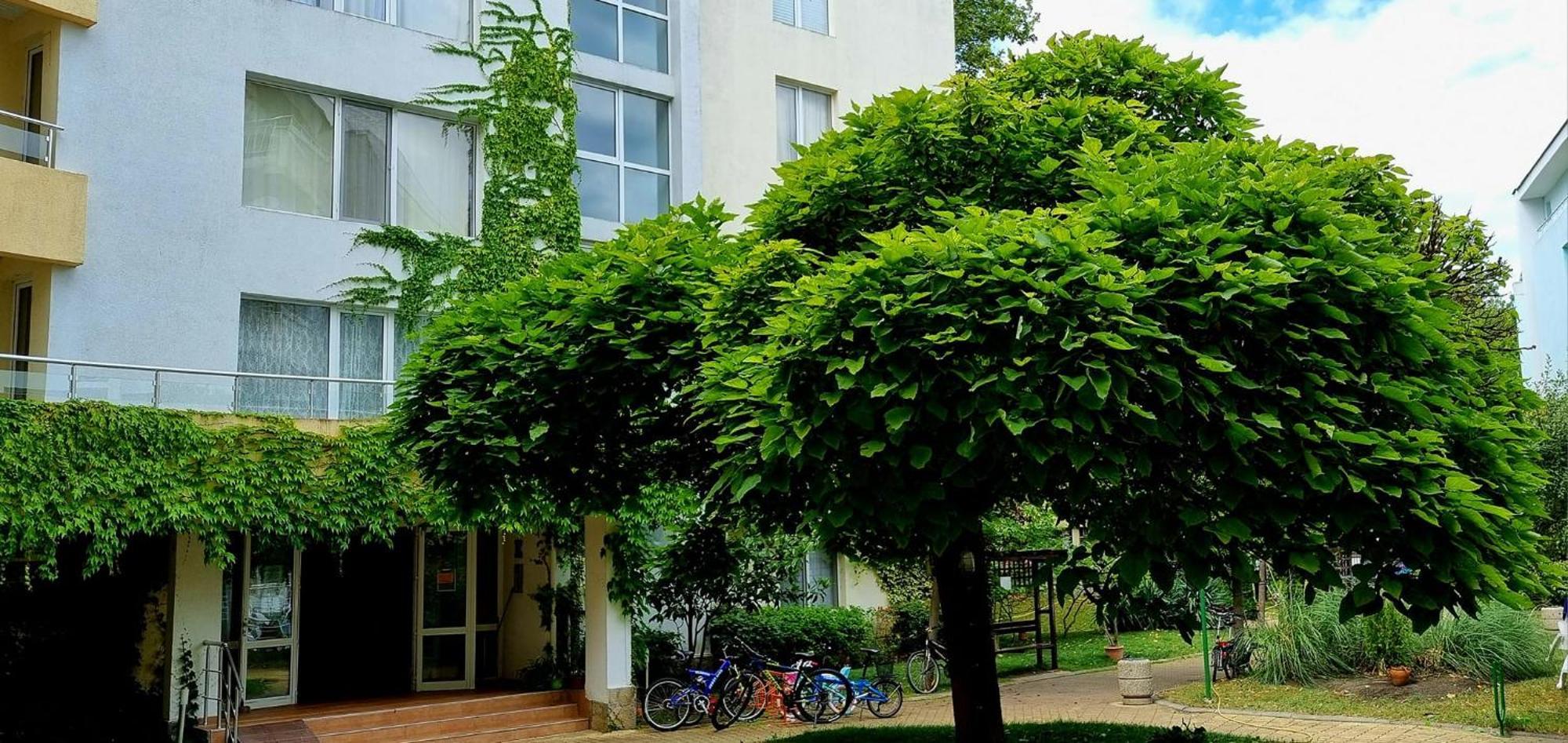 Niko Apartments 阳光海滩 外观 照片