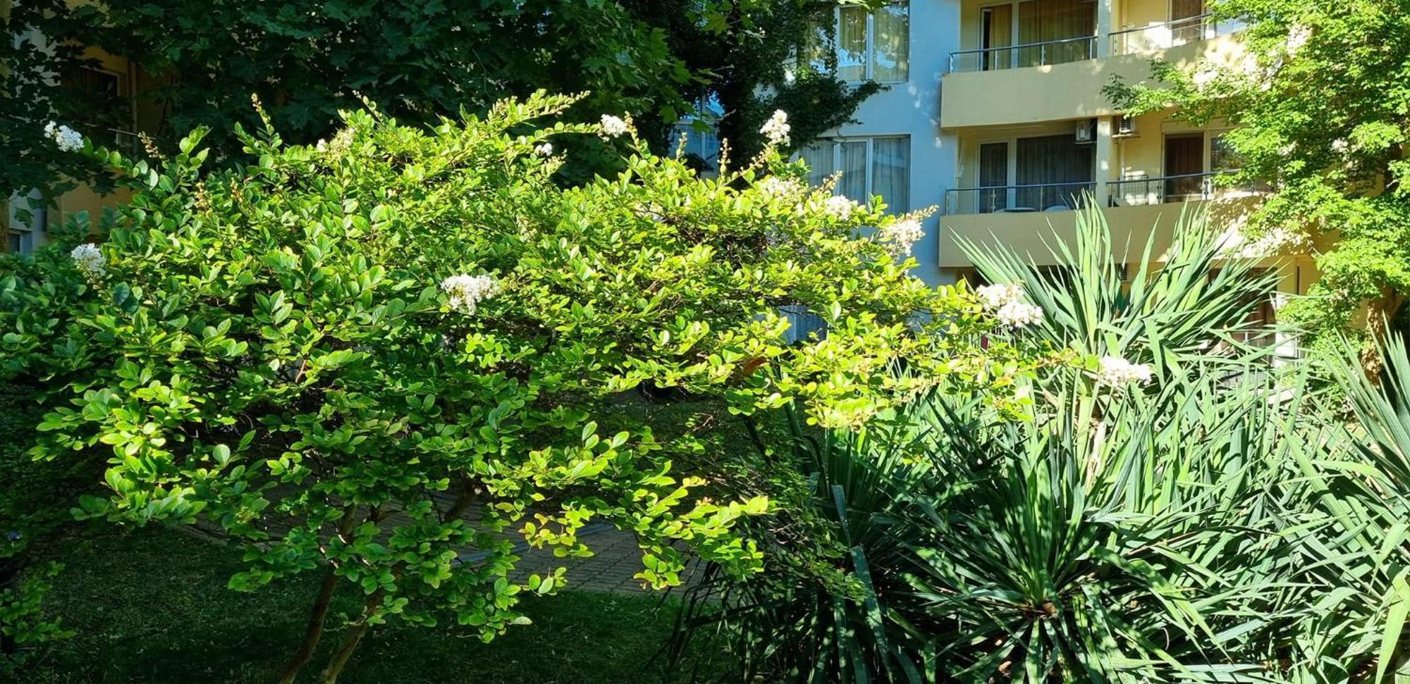 Niko Apartments 阳光海滩 外观 照片