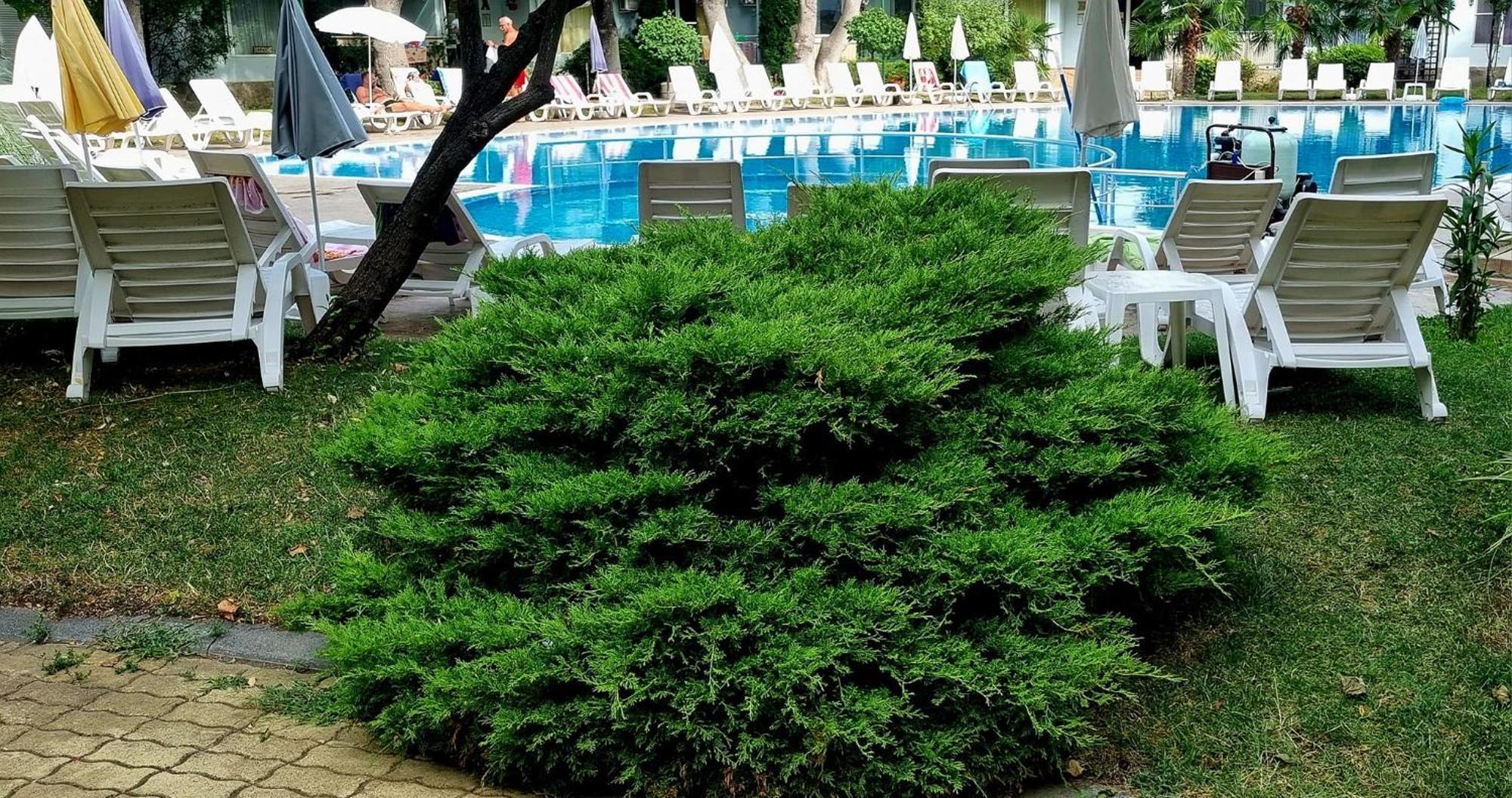 Niko Apartments 阳光海滩 外观 照片
